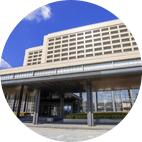 公共分野